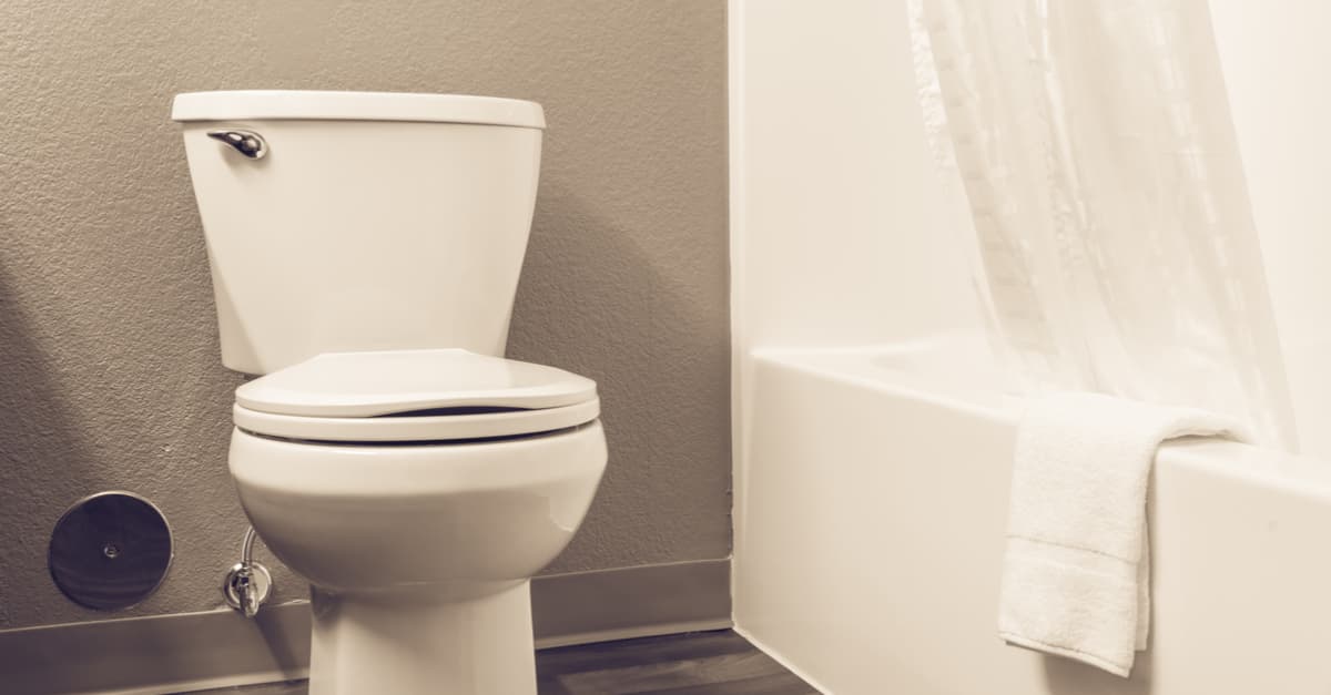 El color de las heces dice mucho sobre tu salud: presta atención a cada caso