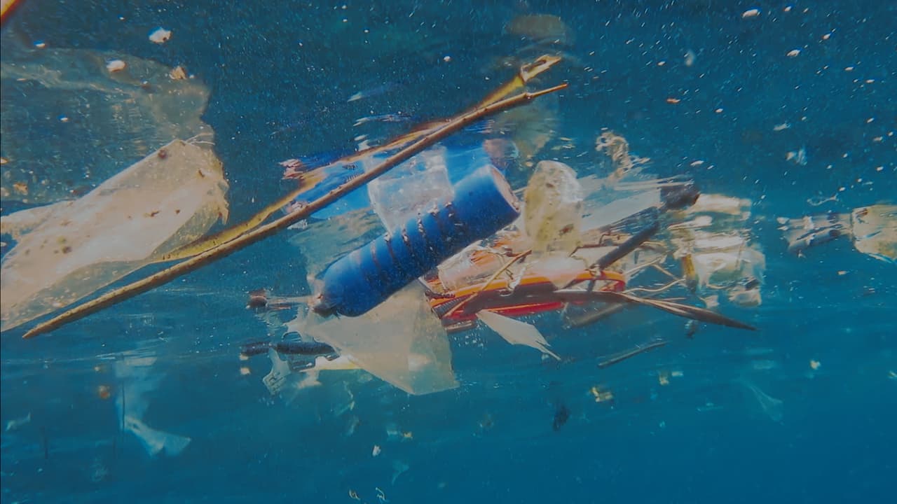 3 simples preguntas que podrían hacer mucho por el mundo ¿Te las has hecho?