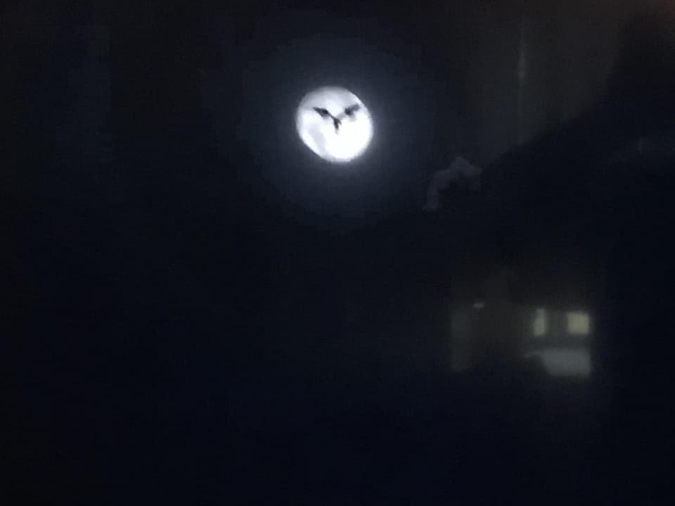 Una oscura referencia a Batman se escondió en Spider-Man: Homecoming todo este tiempo y nosotros distraídos