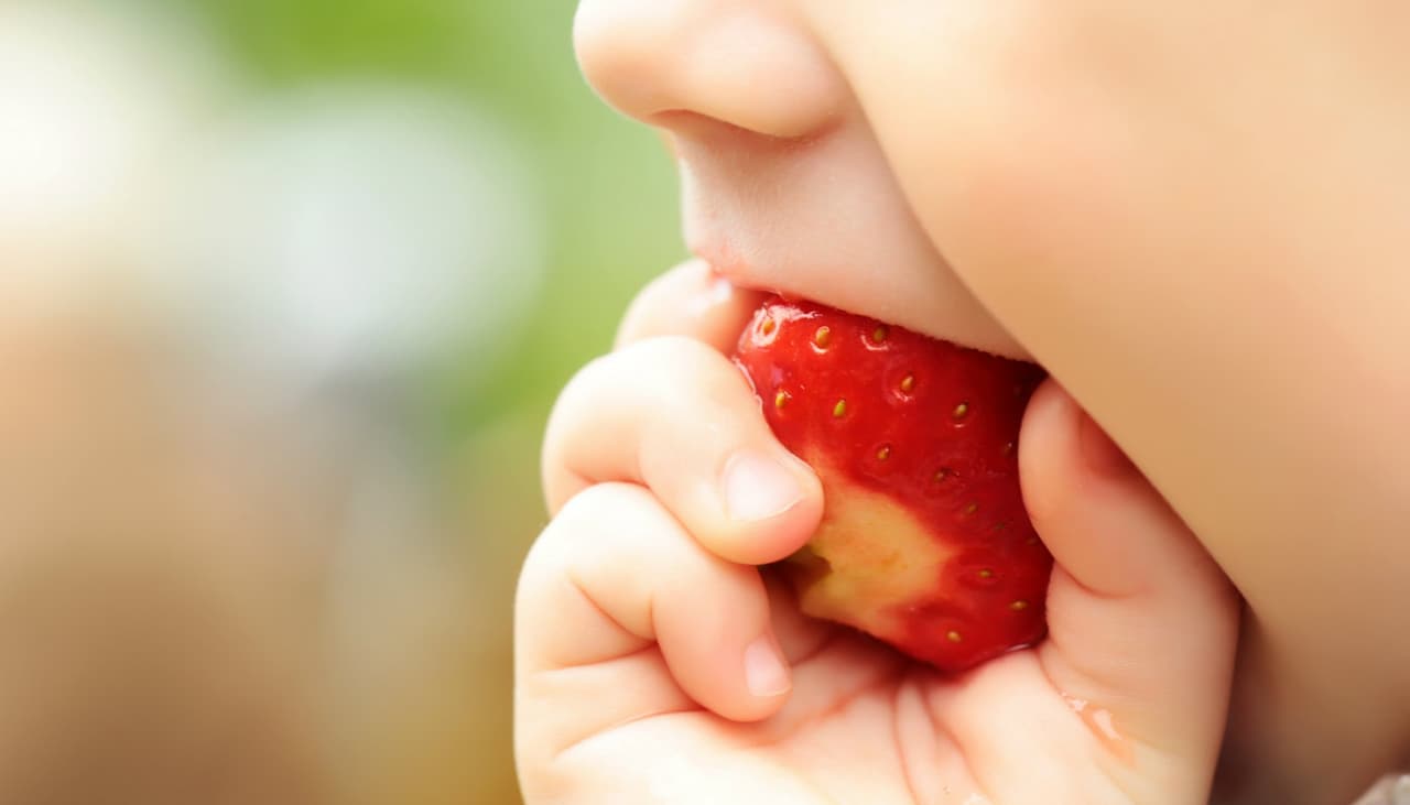 De los 6 meses a los 2 años tu bebé debe seguir una dieta especial para crecer sano