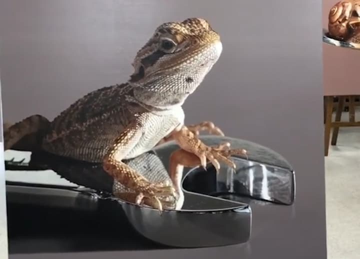 ¿Pintura o realidad? Estas obras hiperrealistas me hacen dudar de mi propia mente