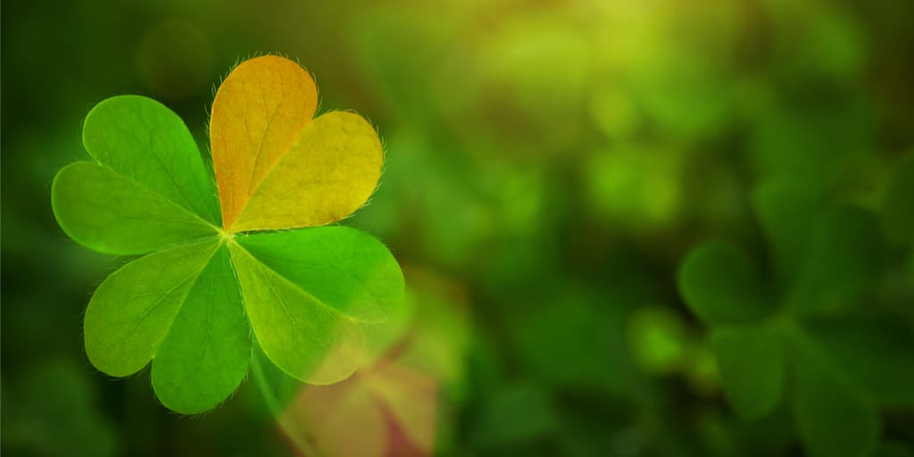 Si tuvieras la increíble suerte de esta adolescente, también estarías en shock