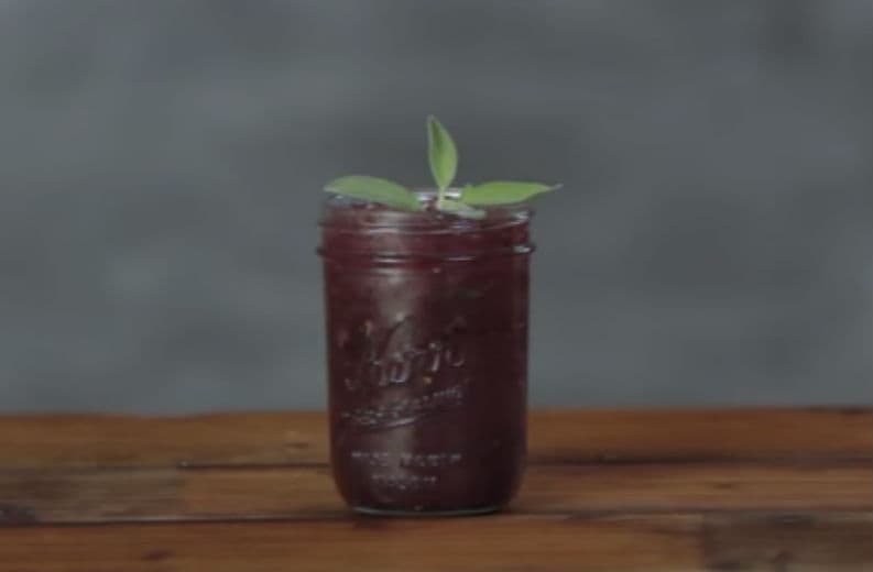 3 cocteles originales con tequila para festejar el 15 de septiembre