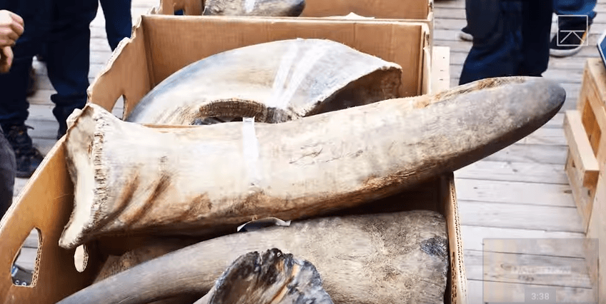 En este parque indio está permitido disparar a las personas y esta es la controvertida razón