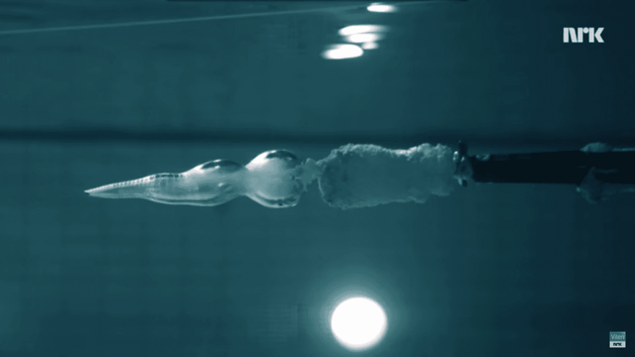 ¿Qué pasa si disparas un arma bajo el agua? Este científico lo comprobó disparándose a sí mismo