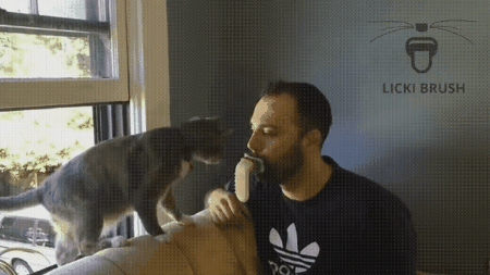 No es normal pero ahora puedes lamer a tu gato con este gadget y... ¿dije que NO es normal?