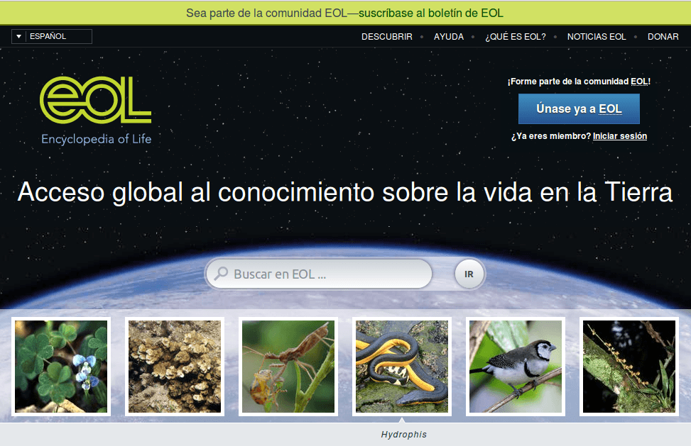 «EOL, La enciclopedia de la vida»: todo el conocimiento de biología al alcance de tu mano