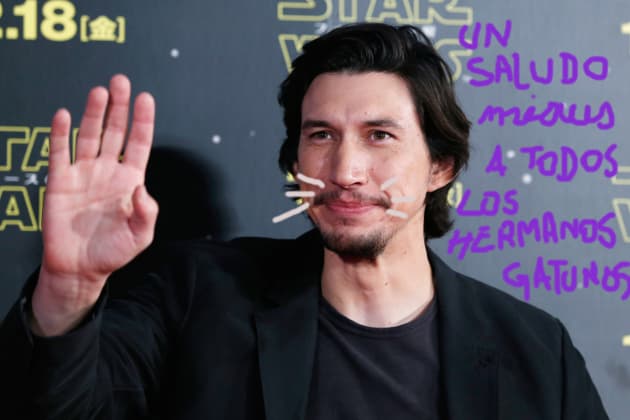 ¡Lo sabíamos! Kylo Ren en realidad es un gato 