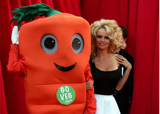 "Lo importante son los artículos"... la última mujer en aparecer desnuda en la portada de Playboy será Pamela Anderson