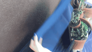 El paso a paso que necesitas para crear tu propia jardinera con pallets 