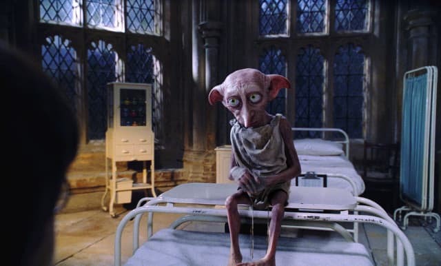 Para la ciencia, el personaje de Harry Potter con el que te identificas revela cómo eres