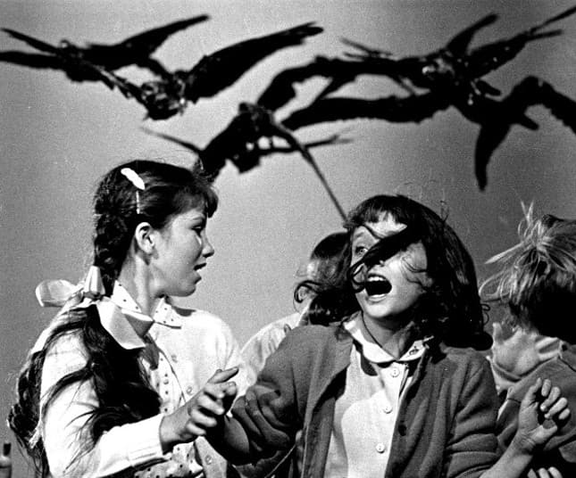 BBC adaptará The Birds de Hitchcock en una nueva serie