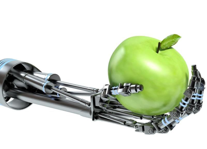 Granja robótica promete más eficiencia sin dañar el medio ambiente