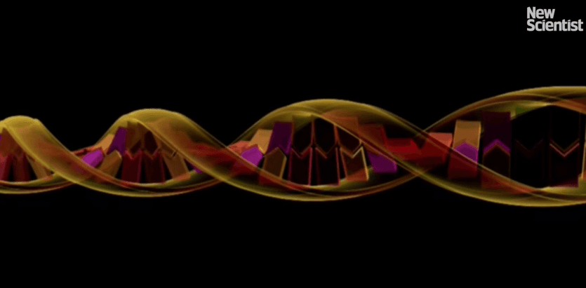 Este microbio sintético es resistente a todos los virus conocidos