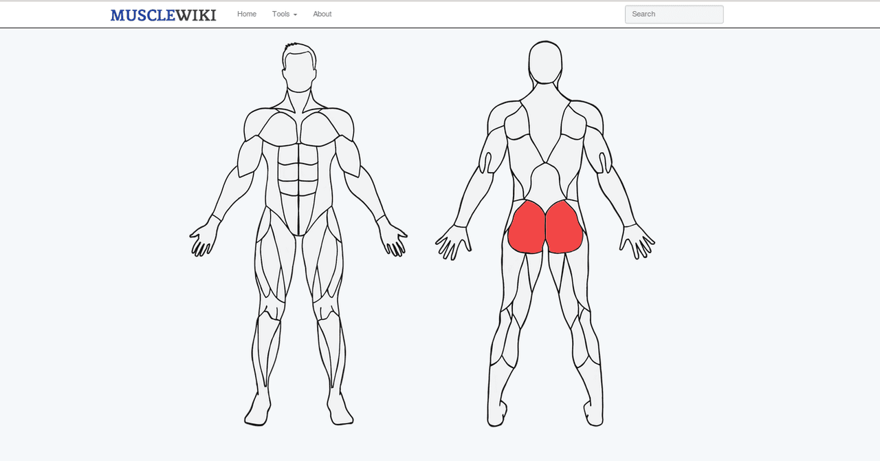 MuscleWiki: el sitio web que necesitas descubrir para ponerte en forma