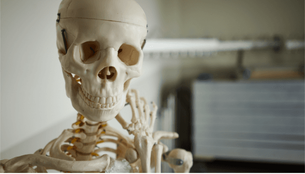 7 partes de tu cuerpo que son más jóvenes que tú y no lo sabías