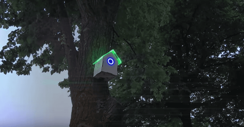 En Ámsterdam las casas para pájaros empezarán a distribuir wifi, ¡conoce el motivo!