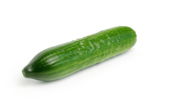 No más bullying: Expertos piden que los dueños dejen de aterrar a sus gatos con pepinos