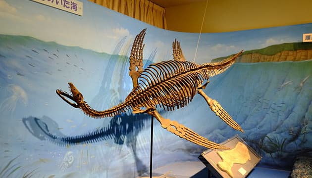 Encontraron pruebas de la existencia de dinosaurios acuáticos: sus descendientes siguen vivos