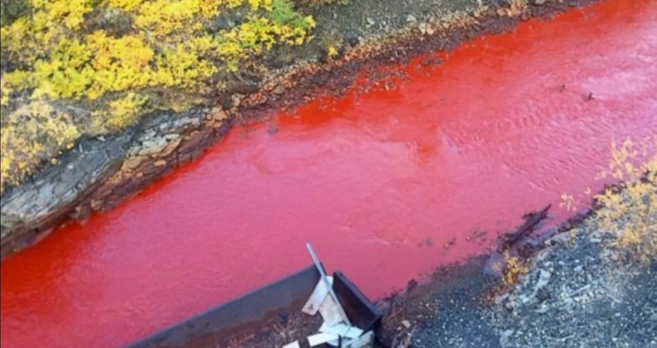 En Rusia, este río misteriosamente se tiñó de rojo sangre de un día para el otro