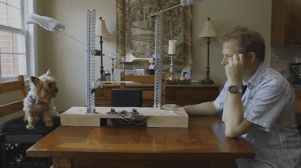 Si una máquina se encarga de tí y tu mascota, este sería el resultado...