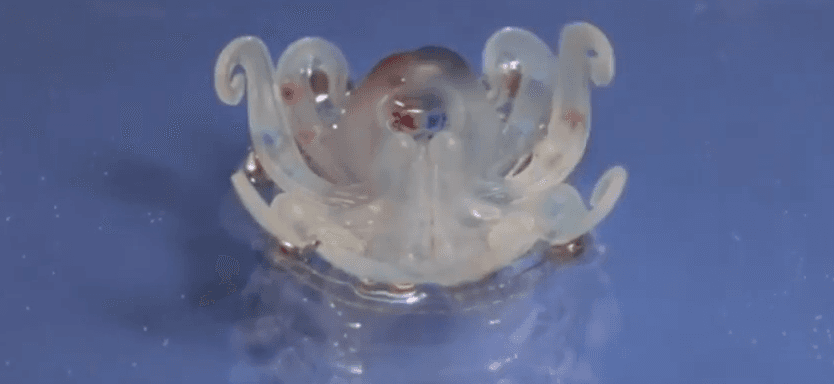 ¿Sabías que estos 5 fascinantes inventos fueron inspirados por plantas y animales?