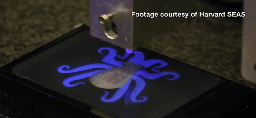 Ingenieros estadounidenses crearon el primer robot autónomo y flexible con forma de pulpo