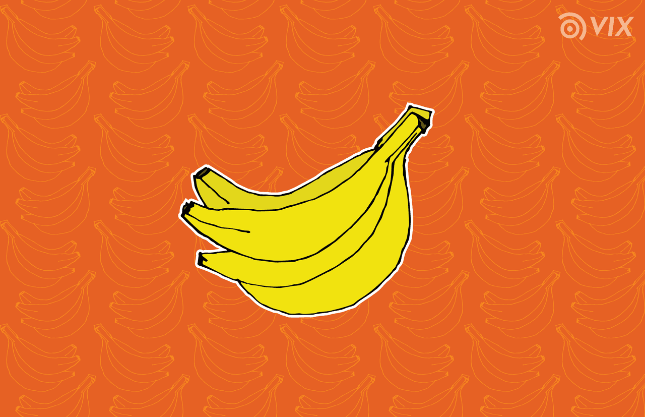 ¡Toma nota! Esto es todo lo que tienes que saber para seleccionar y almacenar los vegetales de forma correcta