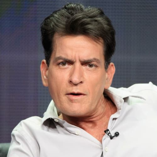 Los mayores sueldos en la TV 2011