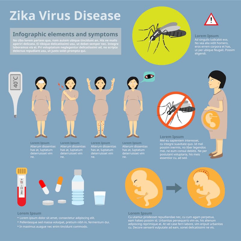 7 datos que toda mujer en edad reproductiva necesita saber sobre el virus del zika 
