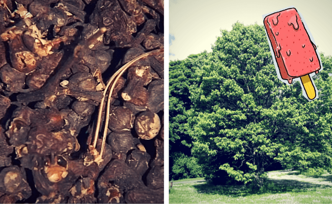 ¿El secreto de la cura de la resaca está en este helado? Oh, Corea del Sur