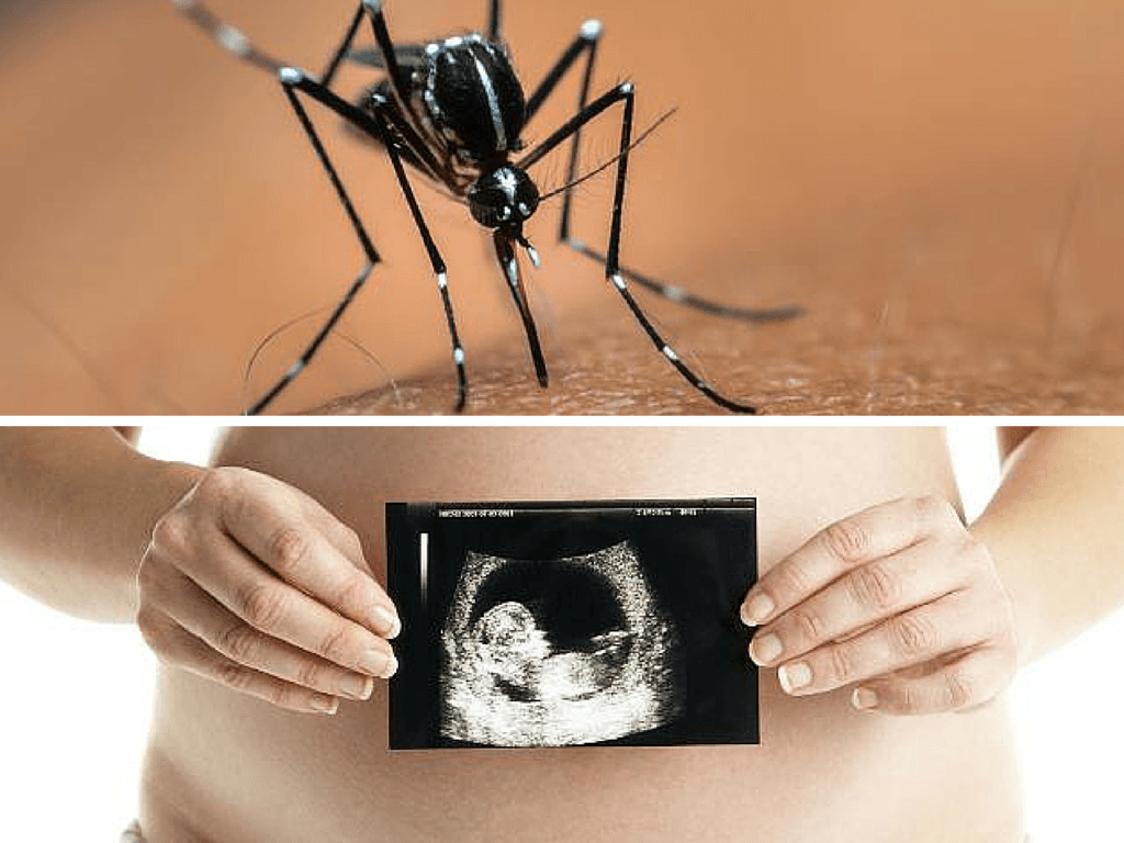 ¿Sabías que Google donó $ 1 millón de dólares para combatir el virus del Zika?