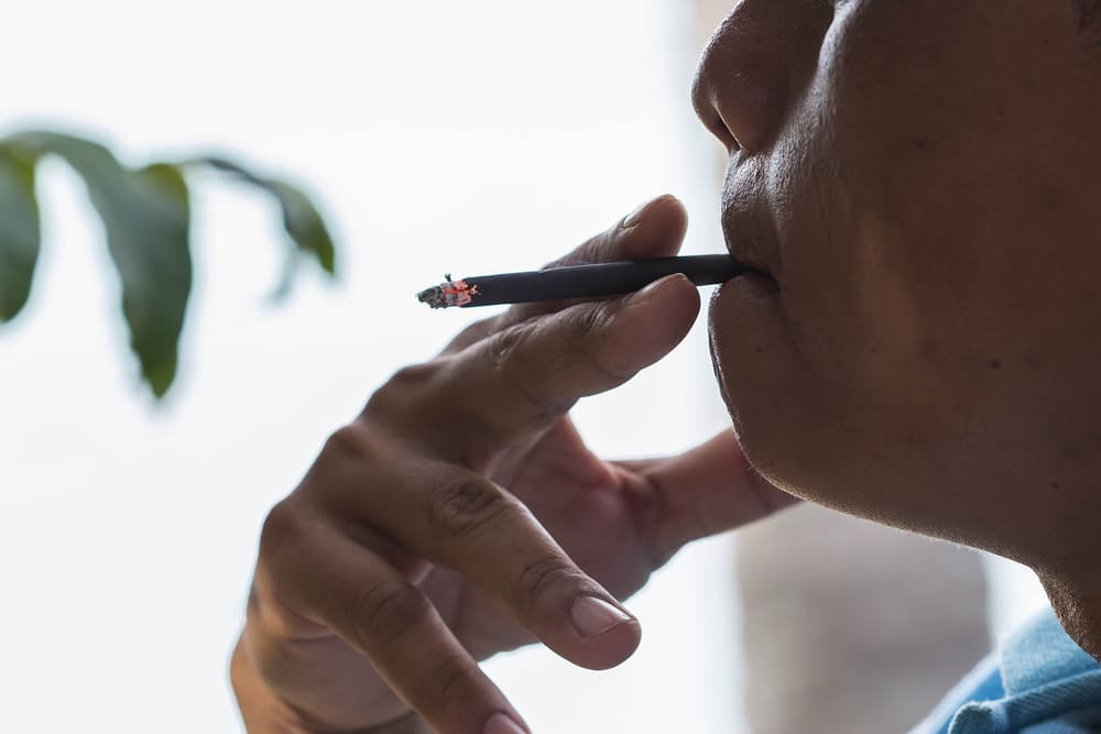 Cannabis vs. opioides: qué prefieren los pacientes para el manejo del dolor