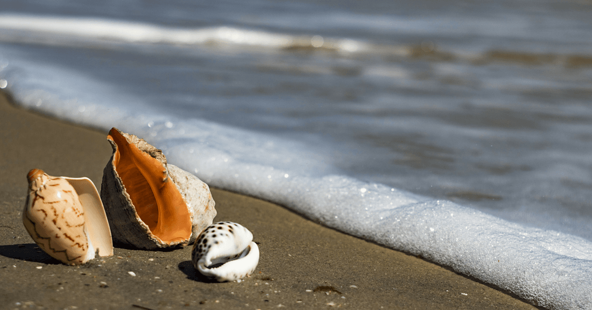 Ya tienes pretexto: esto es lo que la playa le hace a tu salud, según expertos