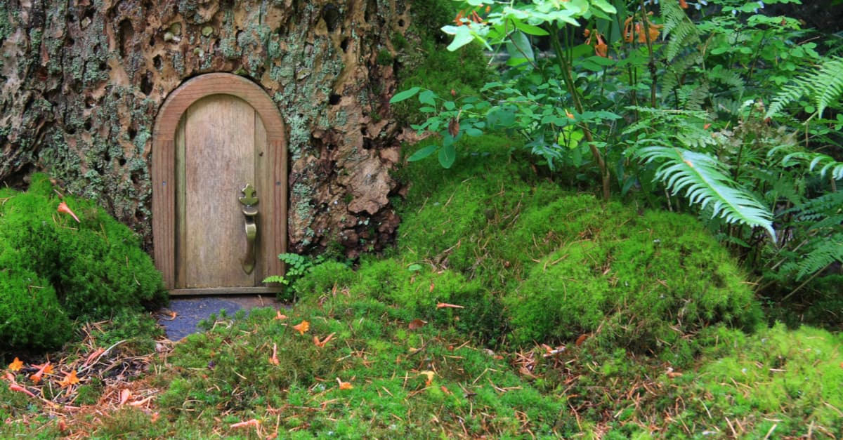 ¿Sabes lo que son los brownies escoceses? No, no tienen nada que ver con el postre