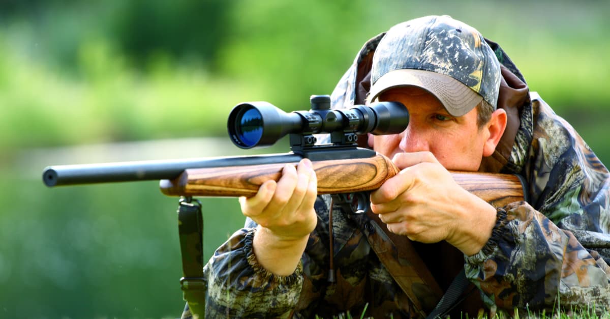 Este lobo marino de 6 meses fue encontrado en una caja de cartón y ya tiene familia nueva