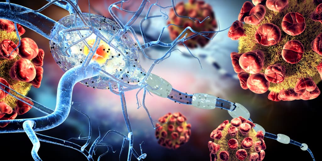 Las enfermedades autoinmunes podrían ser causadas por la ausencia de esta proteína