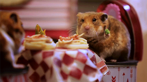 Guía práctica para haraganes: 11 consejos para que tu pereza sea productiva