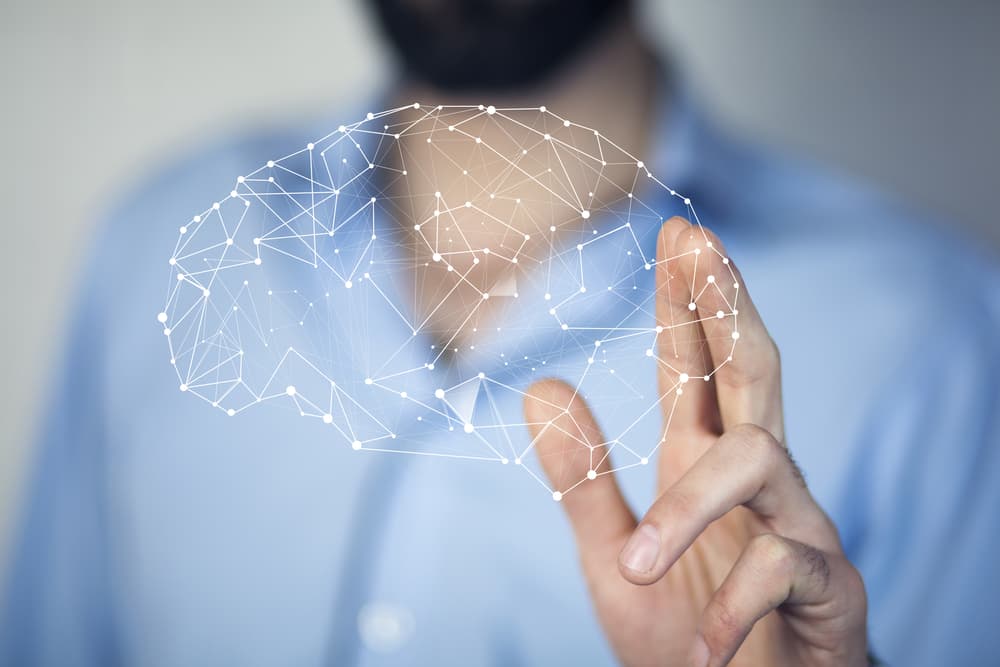 ¡Cuidado! Estos alimentos podrían dañar tu cerebro