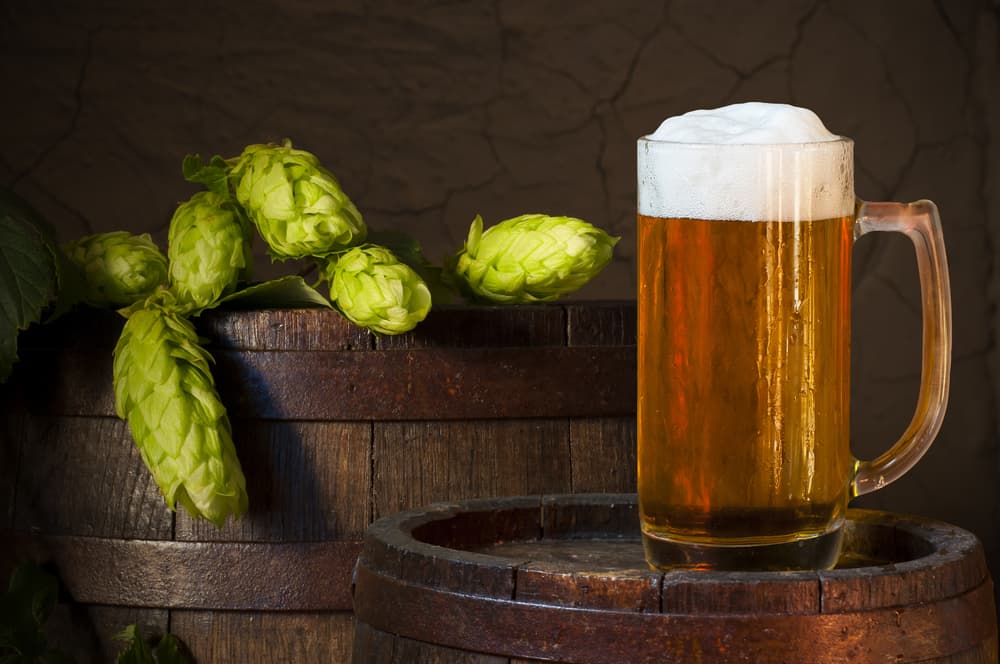 Según la ciencia, el lúpulo de la cerveza puede proteger contra enfermedades del hígado (aunque no lo creas)