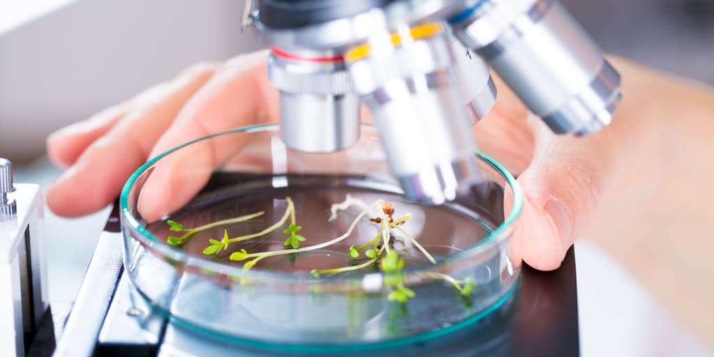 Las corrientes y los dilemas científicos que plantean que el universo tiene consciencia