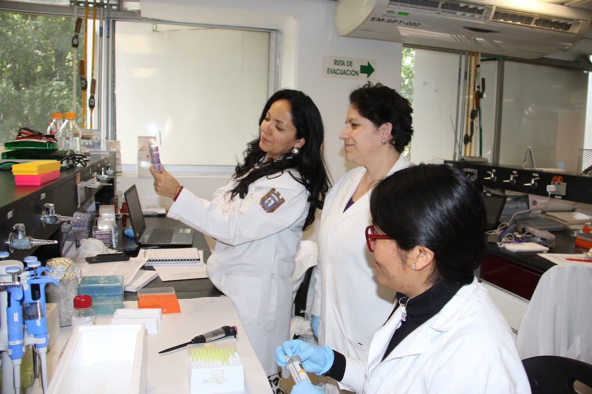 México podría tener un medicamento contra el coronavirus gracias a investigadores del IPN