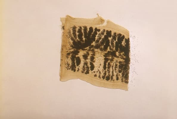 Sebastián Serrat, actor de El Señor de los Cielos, muere por extraña enfermedad