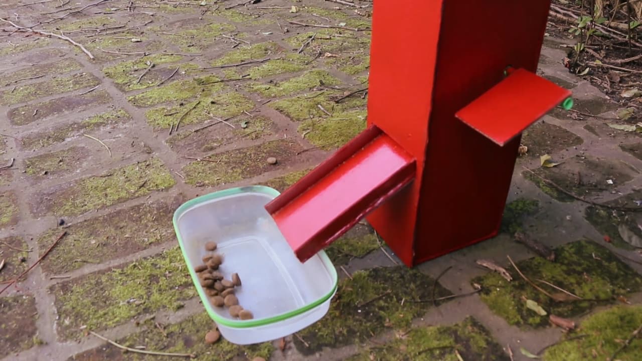 ¡Haz tu propio comedero para tu mascota! Este video te muestra cómo hacerlo