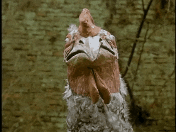 ¿Filetes que bailan y hombres cabeza de gallina? Si este director no te vuela la cabeza, el mundo está perdido