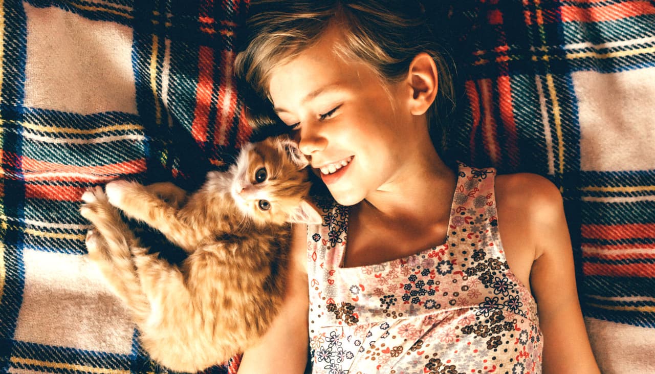 Antes de elegir una mascota para tu hijo, toma en cuenta esto para saber si podrá cuidarlo