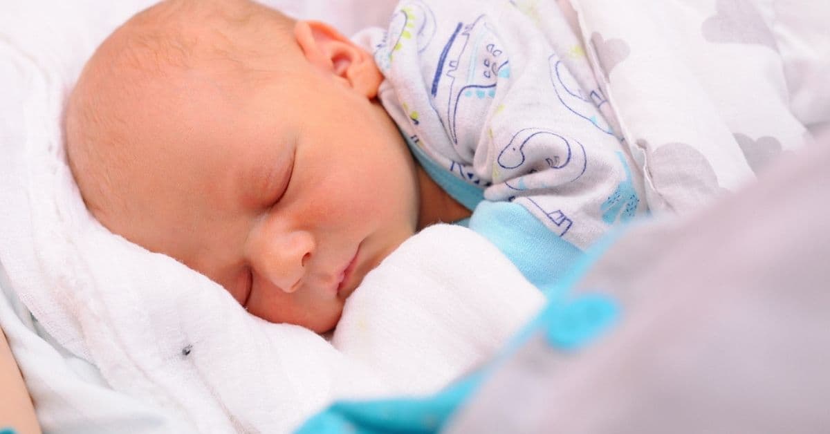 Cuando veas una mariposa púrpura en un cunero te pondrás triste, pero tendrás mucho respeto