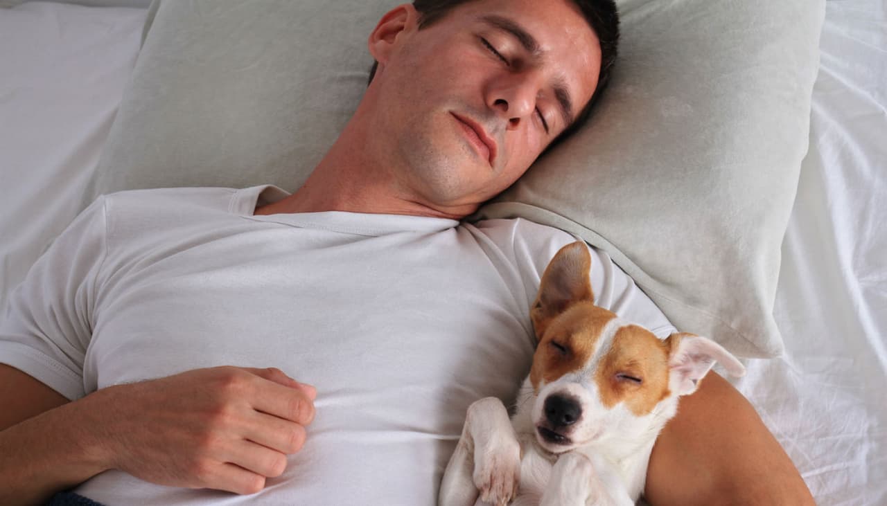 Los cachorros imitan la personalidad de sus dueños, según un estudio