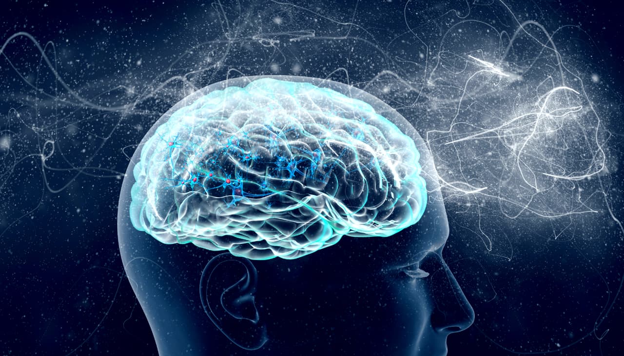 Está probado: el cerebro del hombre y de la mujer son EXACTAMENTE iguales