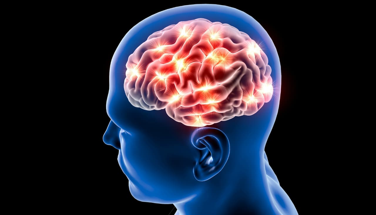 Niebla cerebral: ¿qué es y cómo reconocer sus síntomas a tiempo?